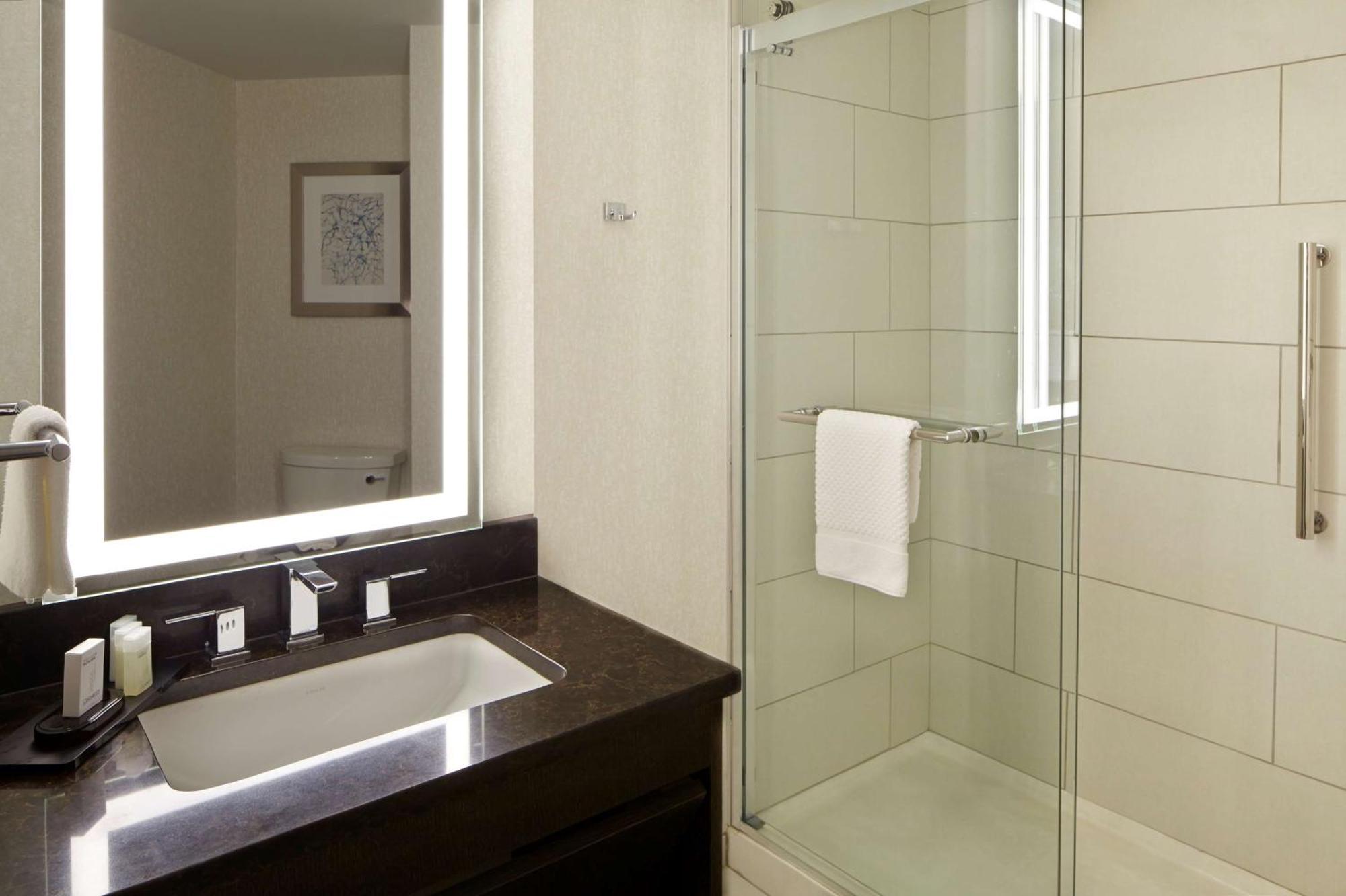 Embassy Suites By Hilton Atlanta Galleria Смирна Екстериор снимка
